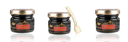 NAVKARMA SHILAJIT GOLD RESIN 20G